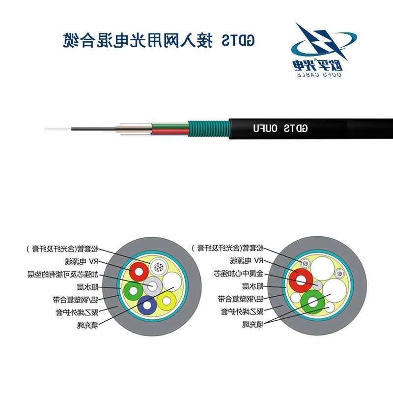 雅安市GDTS光缆