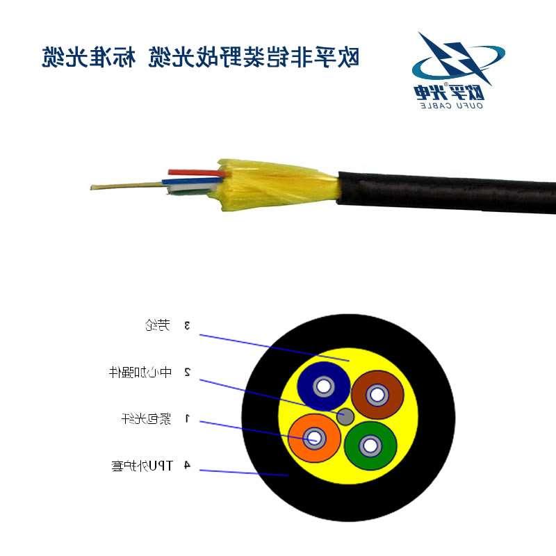 广州市野战光缆