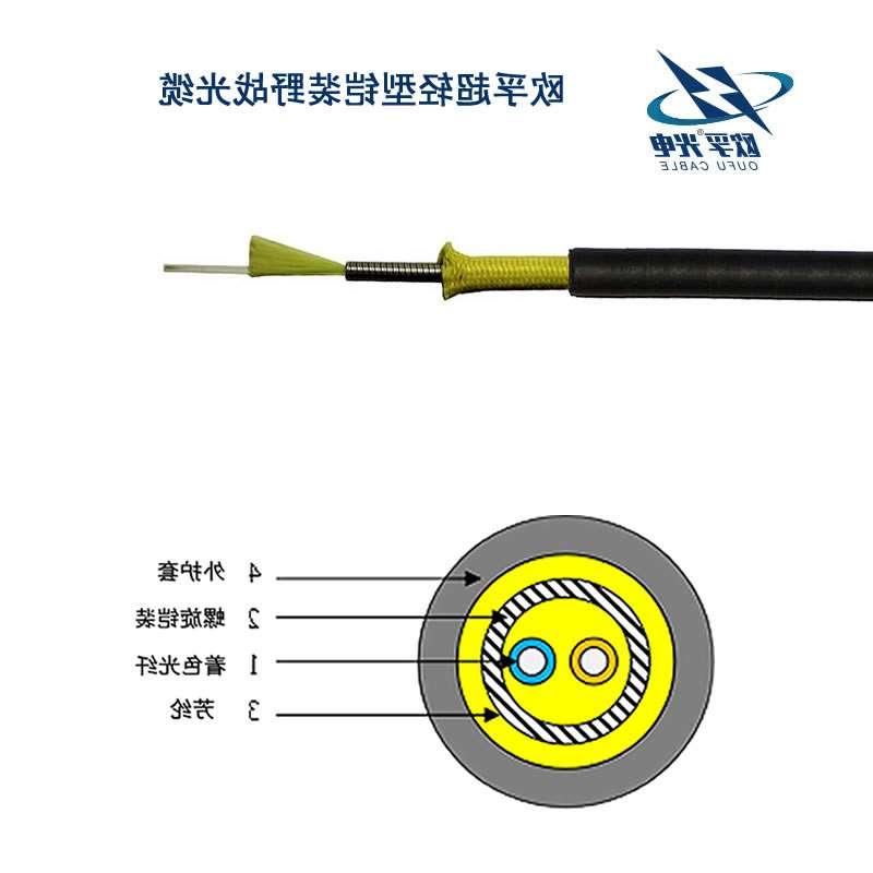 武隆区超轻型铠装野战光缆