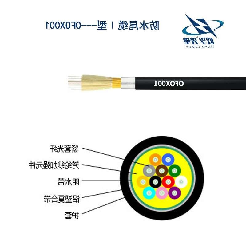 江津区防水尾缆Ⅰ型