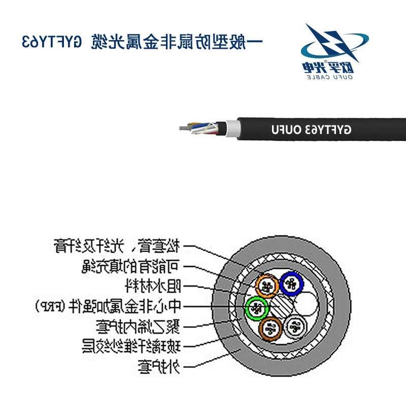 江津区防鼠咬GYFTY63光缆